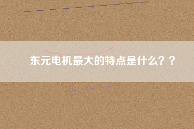 東元電機(jī)最大的特點(diǎn)是什么？？